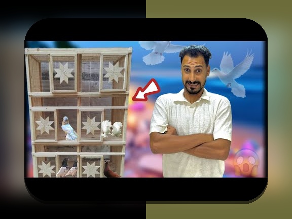 رثبر چیست و چگونه می‌تواند تجربه سایت شرط بندی شما را بهبود بخشد؟